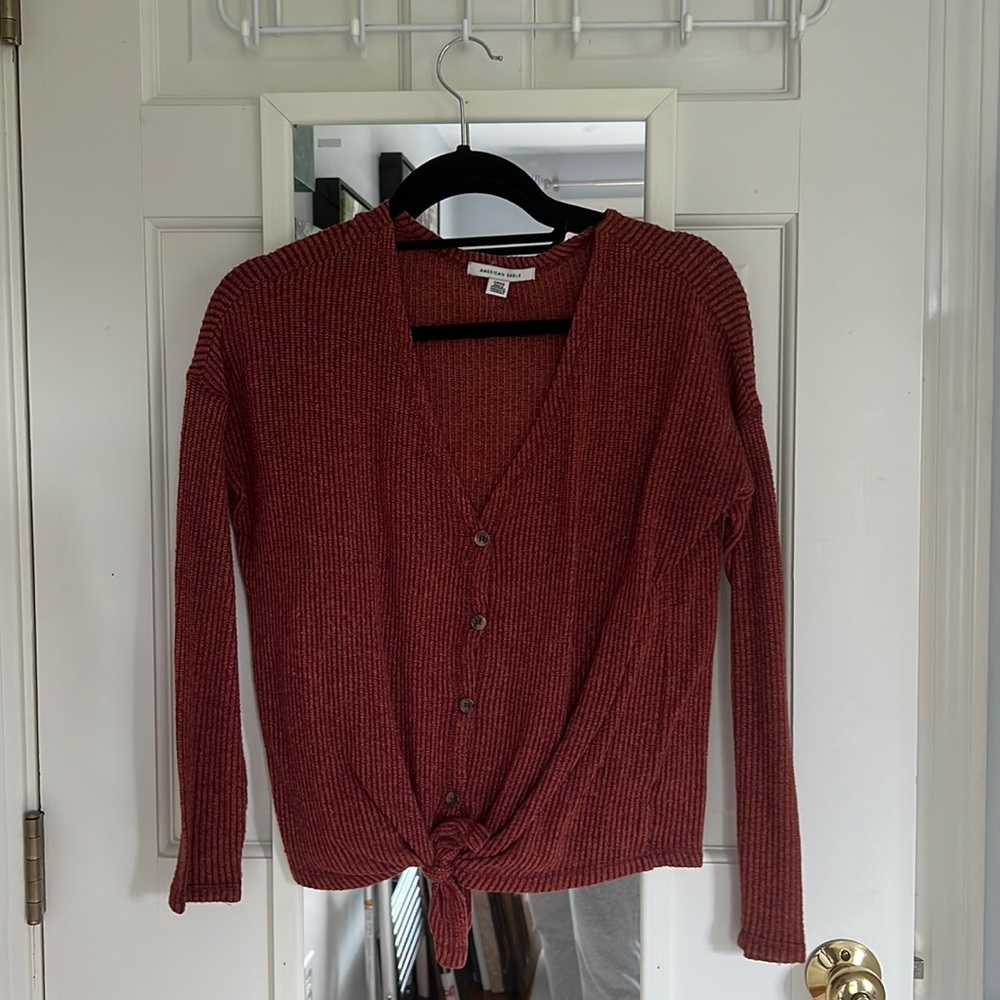 American Eagle burnt orange v neck/ button down/ tie sweater
